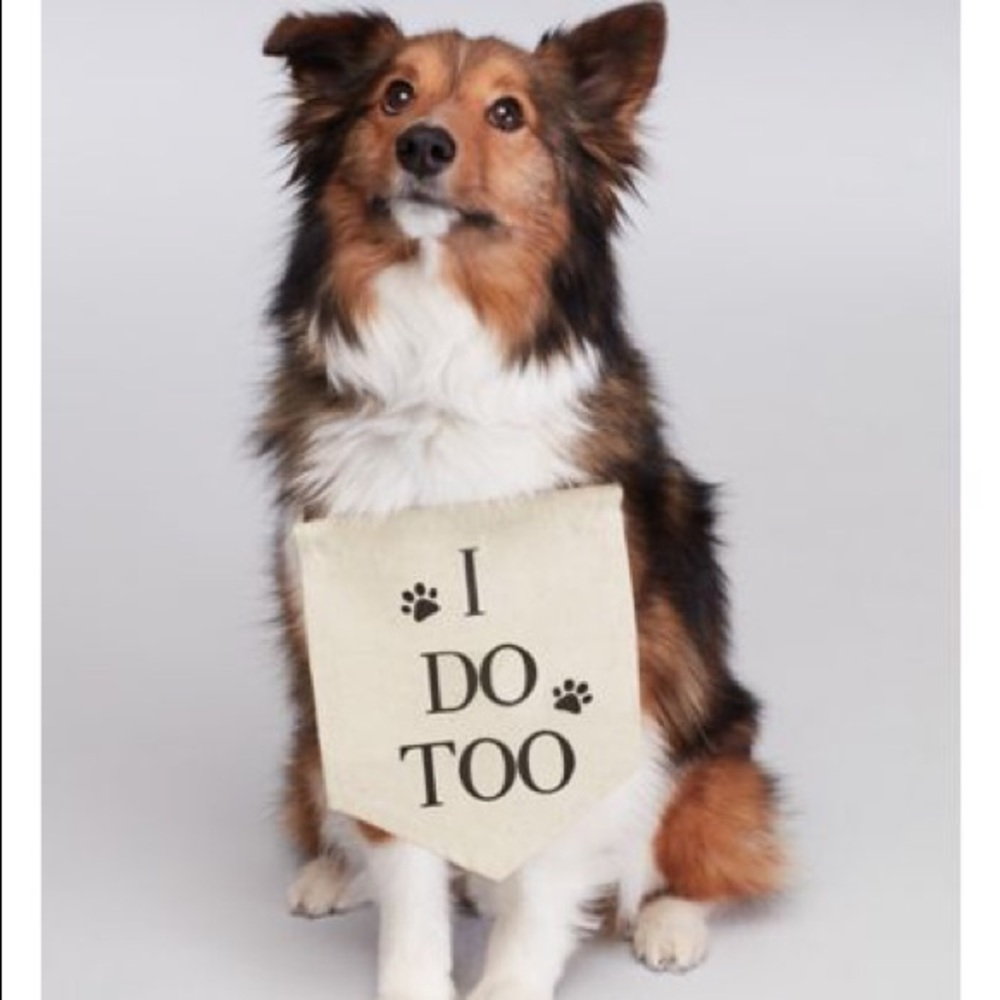 Dog wedding sign